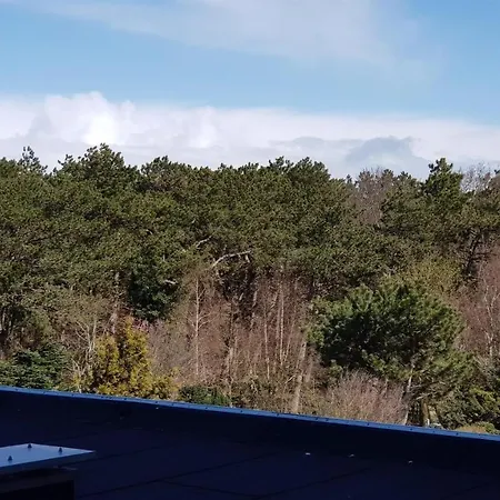 Haus Luv Und Lee, Moewennest Whg 26 Daire Sankt Peter-Ording